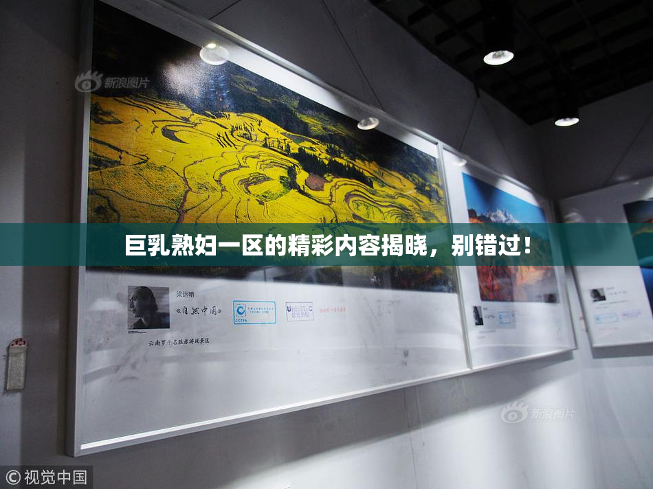 巨乳熟妇一区的精彩内容揭晓，别错过！