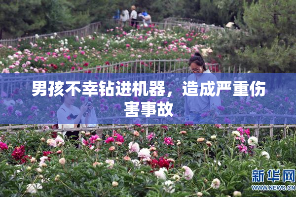 男孩不幸钻进机器，造成严重伤害事故
