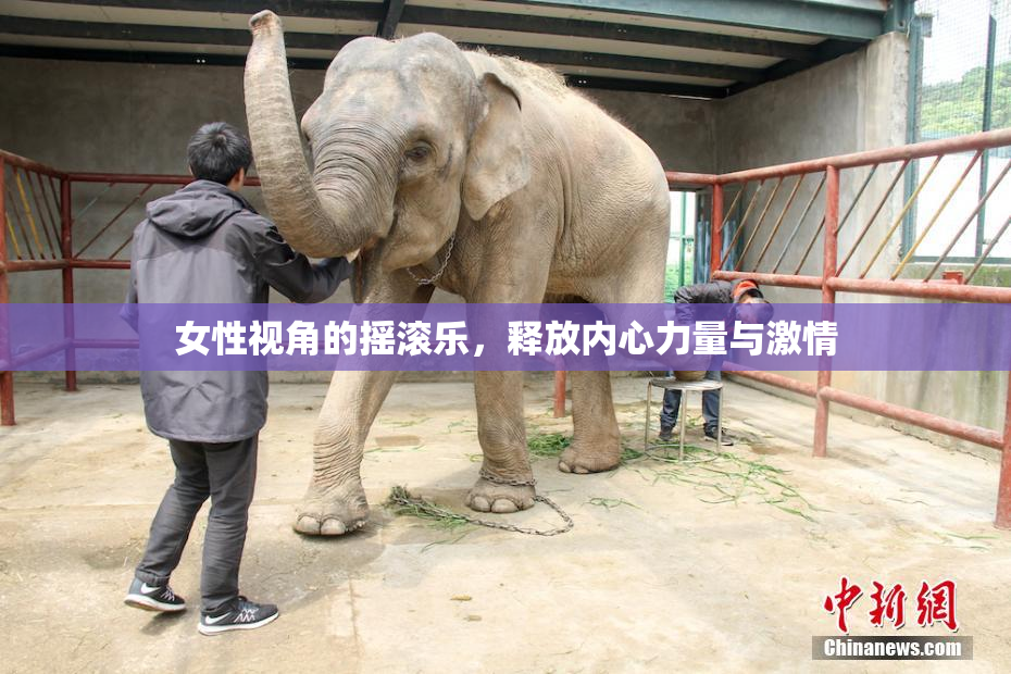 女性视角的摇滚乐，释放内心力量与激情