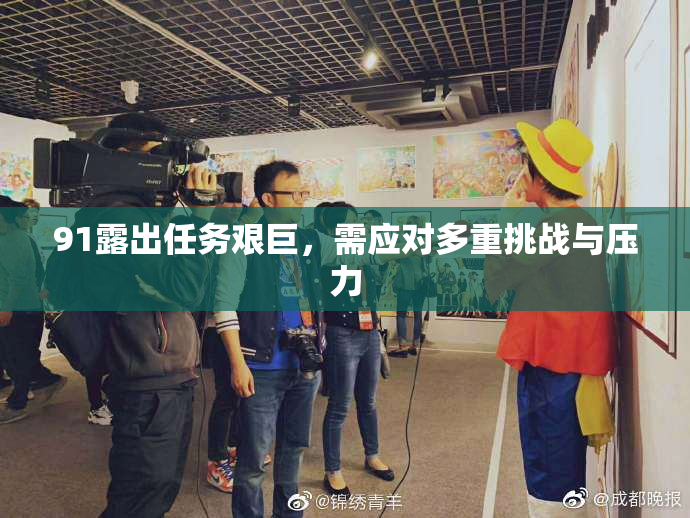 91露出任务艰巨，需应对多重挑战与压力