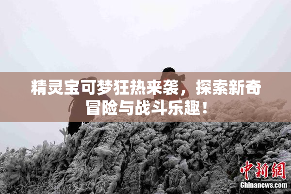精灵宝可梦狂热来袭，探索新奇冒险与战斗乐趣！