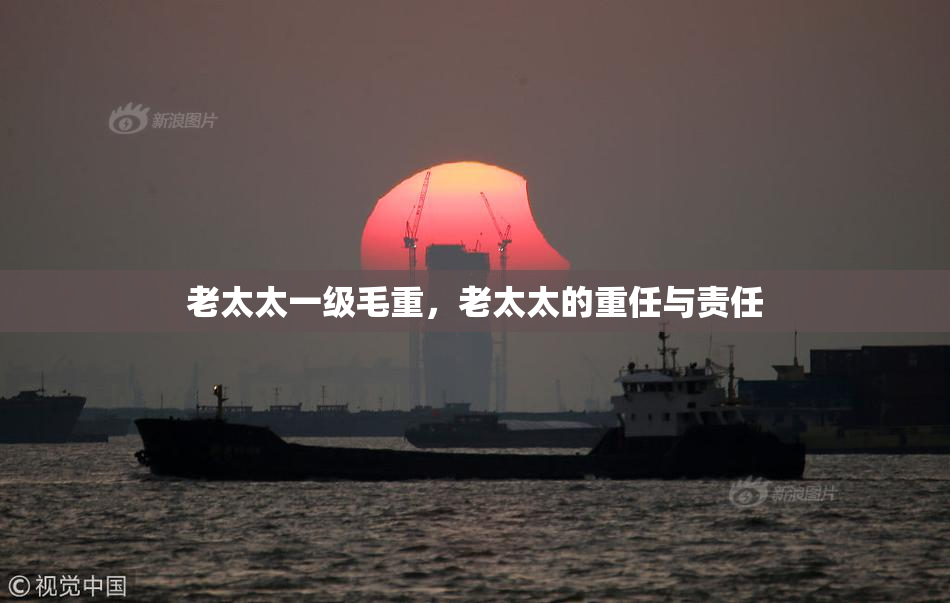 老太太一级毛重，老太太的重任与责任