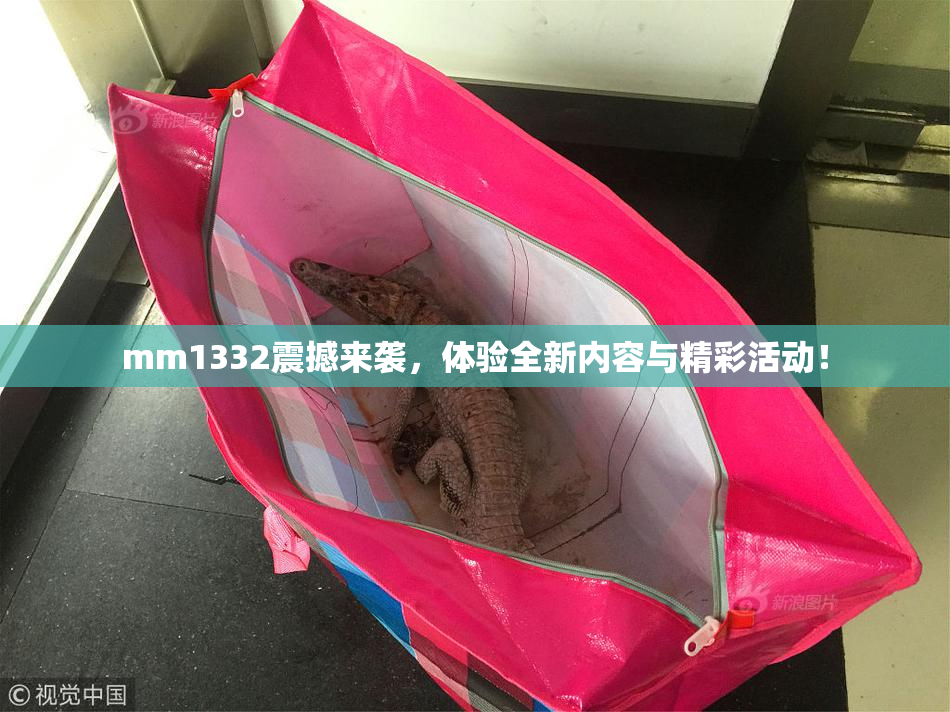 mm1332震撼来袭，体验全新内容与精彩活动！