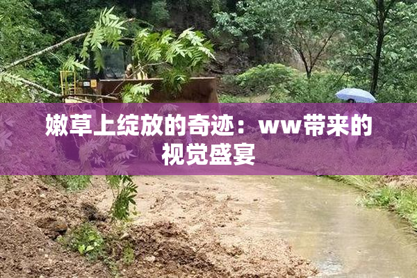 嫩草上绽放的奇迹：ww带来的视觉盛宴
