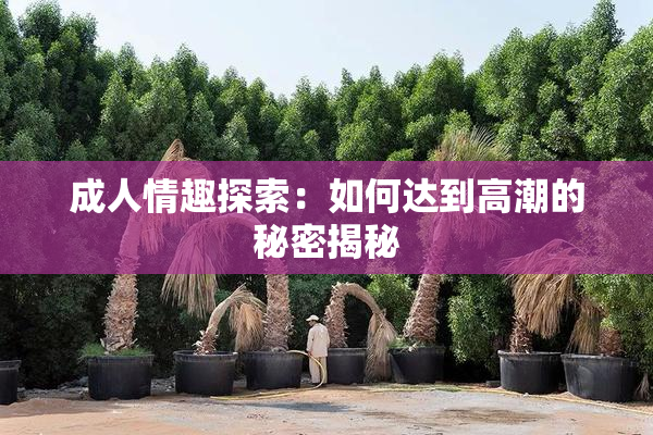 成人情趣探索：如何达到高潮的秘密揭秘