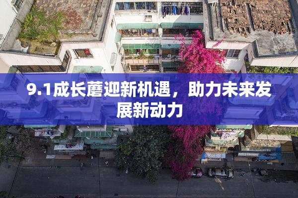 9.1成长蘑迎新机遇，助力未来发展新动力