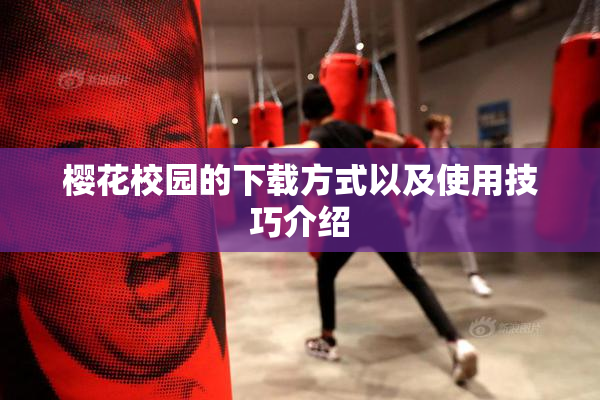 樱花校园的下载方式以及使用技巧介绍
