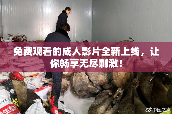 免费观看的成人影片全新上线，让你畅享无尽刺激！