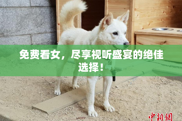 免费看女，尽享视听盛宴的绝佳选择！