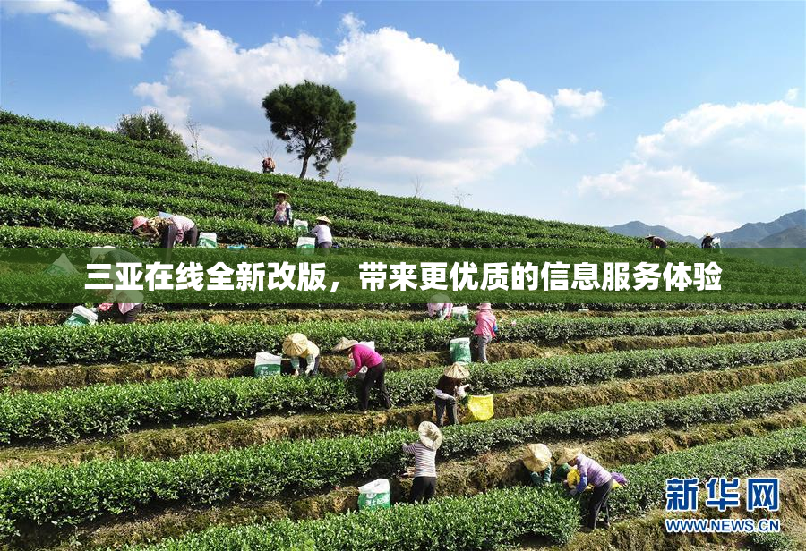 三亚在线全新改版，带来更优质的信息服务体验