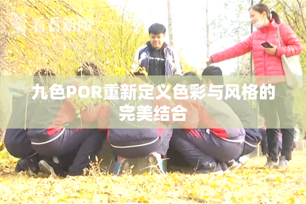 九色POR重新定义色彩与风格的完美结合