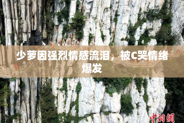 少萝因强烈情感流泪，被C哭情绪爆发