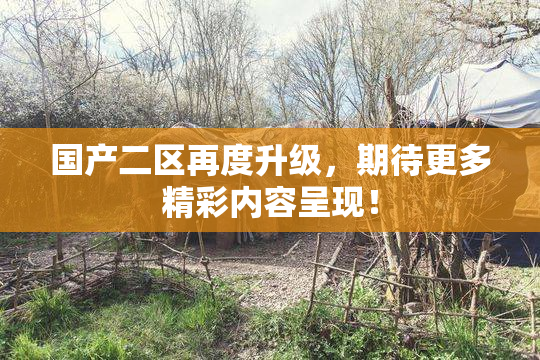 国产二区再度升级，期待更多精彩内容呈现！