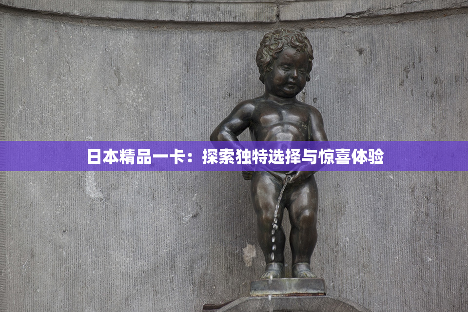日本精品一卡：探索独特选择与惊喜体验