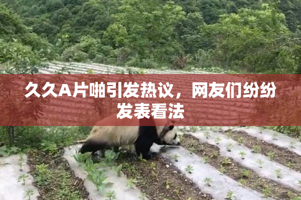 久久A片啪引发热议，网友们纷纷发表看法