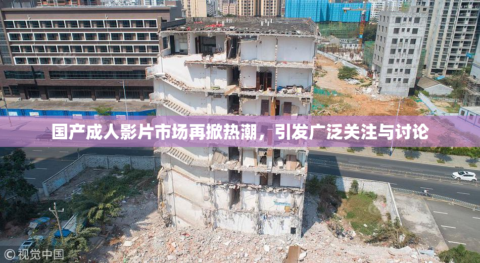 国产成人影片市场再掀热潮，引发广泛关注与讨论