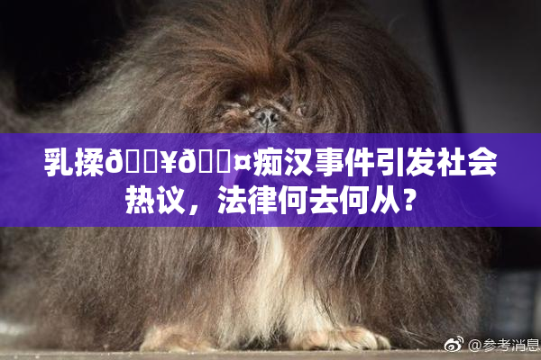 乳揉🔥🖤痴汉事件引发社会热议，法律何去何从？