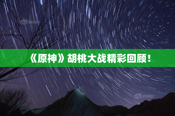 《原神》胡桃大战精彩回顾！