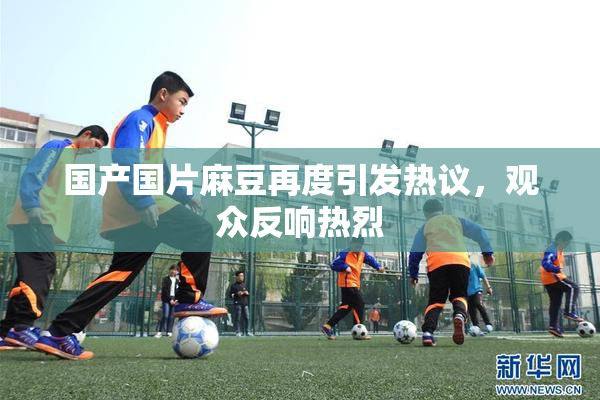 国产国片麻豆再度引发热议，观众反响热烈