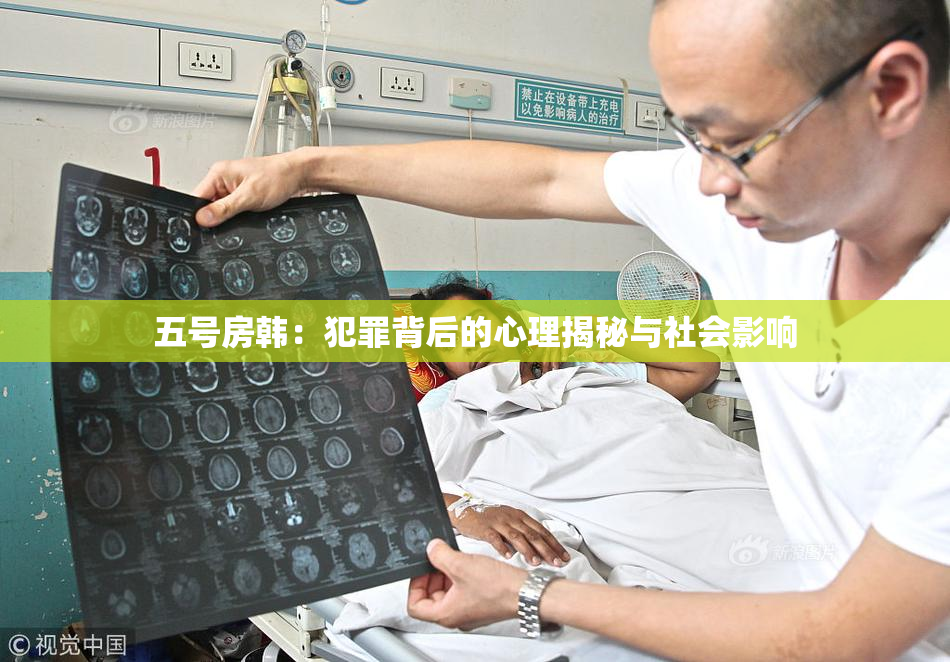 五号房韩：犯罪背后的心理揭秘与社会影响