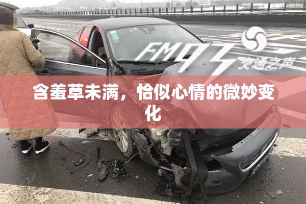 含羞草未满，恰似心情的微妙变化