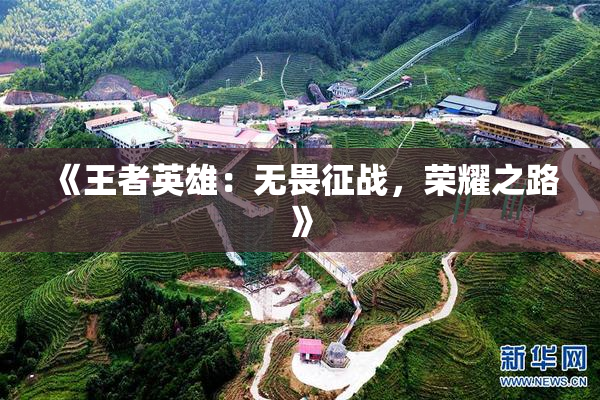 《王者英雄：无畏征战，荣耀之路》