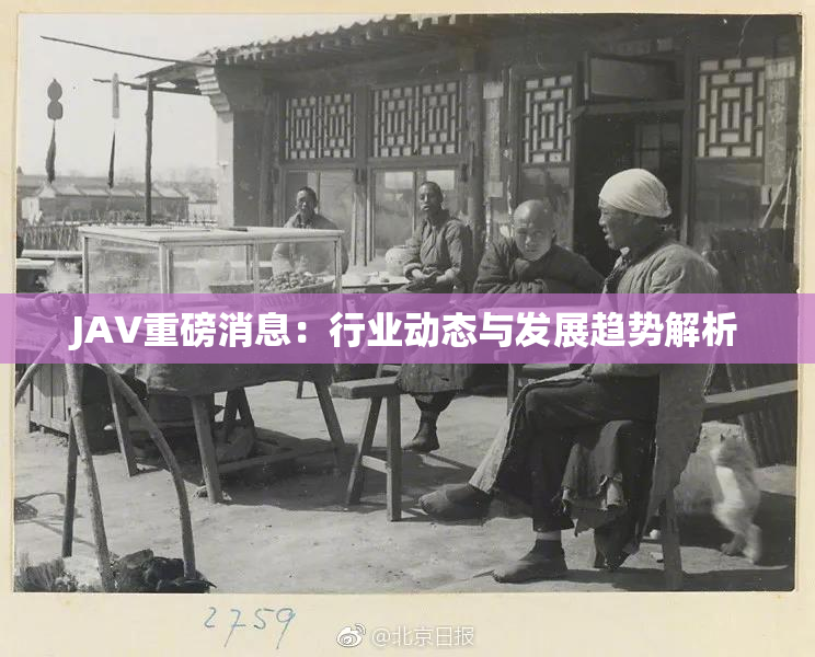 JAV重磅消息：行业动态与发展趋势解析