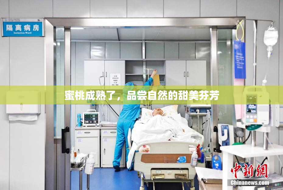 蜜桃成熟了，品尝自然的甜美芬芳