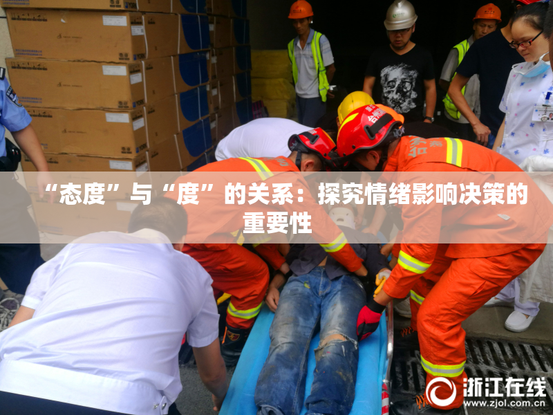 “态度”与“度”的关系：探究情绪影响决策的重要性