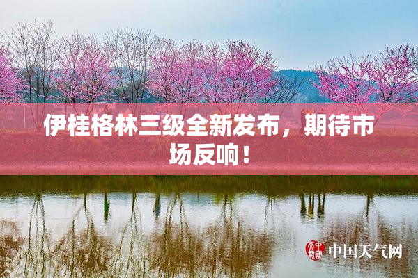 伊桂格林三级全新发布，期待市场反响！
