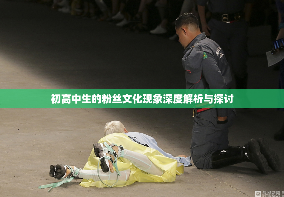 初高中生的粉丝文化现象深度解析与探讨