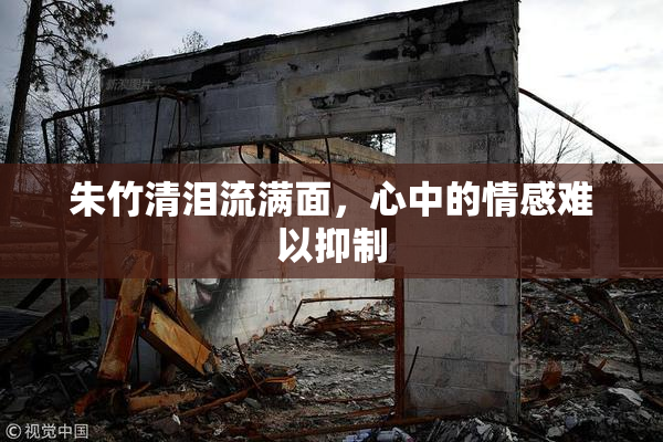 朱竹清泪流满面，心中的情感难以抑制