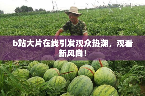 b站大片在线引发观众热潮，观看新风尚！