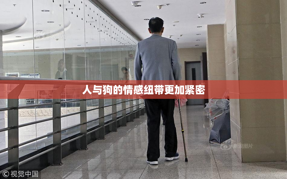 人与狗的情感纽带更加紧密