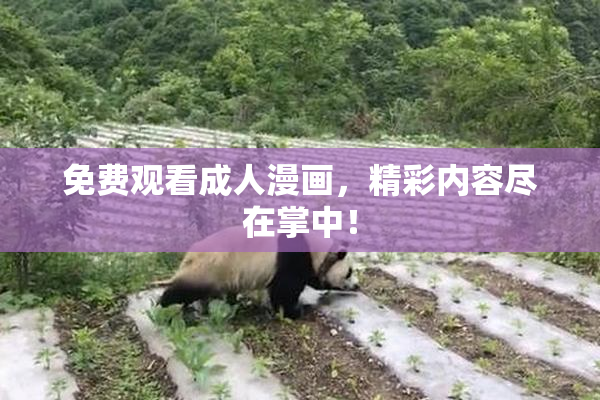免费观看成人漫画，精彩内容尽在掌中！