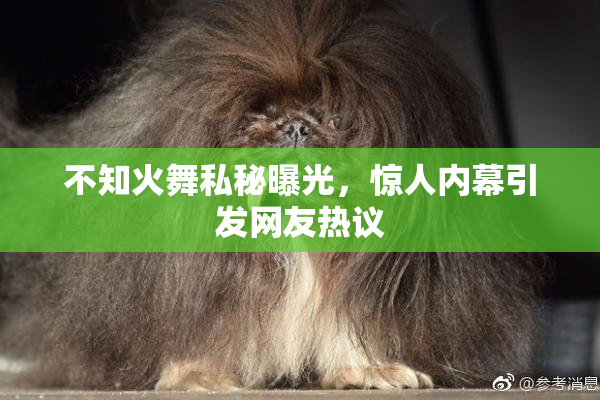 不知火舞私秘曝光，惊人内幕引发网友热议