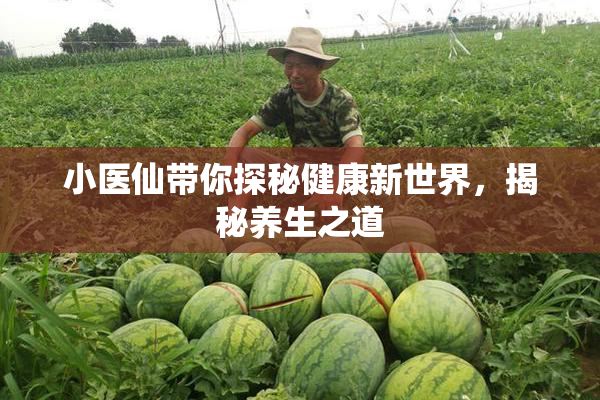小医仙带你探秘健康新世界，揭秘养生之道