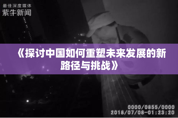 《探讨中国如何重塑未来发展的新路径与挑战》