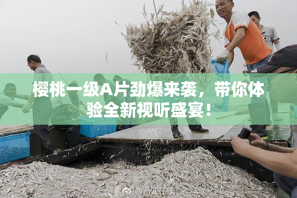 樱桃一级A片劲爆来袭，带你体验全新视听盛宴！