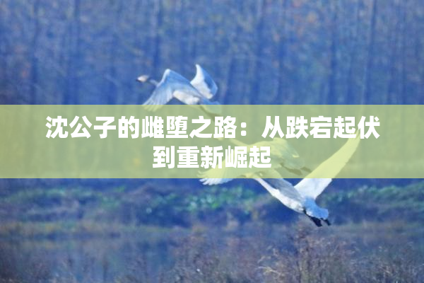沈公子的雌堕之路：从跌宕起伏到重新崛起
