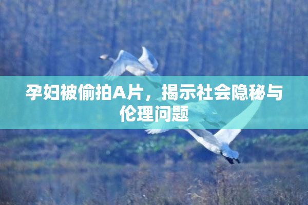 孕妇被偷拍A片，揭示社会隐秘与伦理问题