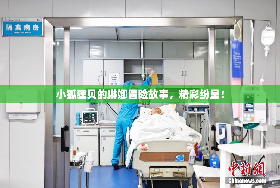 小狐狸贝的琳娜冒险故事，精彩纷呈！