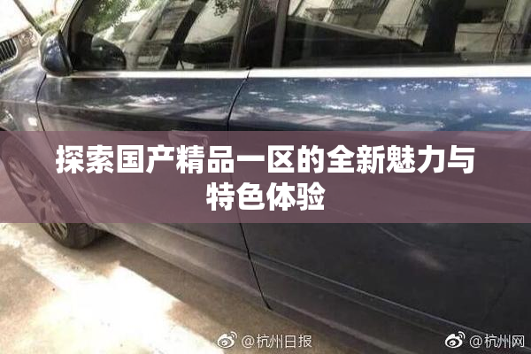 探索国产精品一区的全新魅力与特色体验