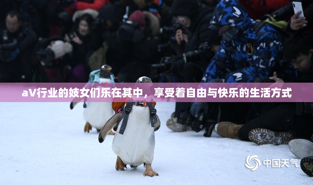 aV行业的妓女们乐在其中，享受着自由与快乐的生活方式