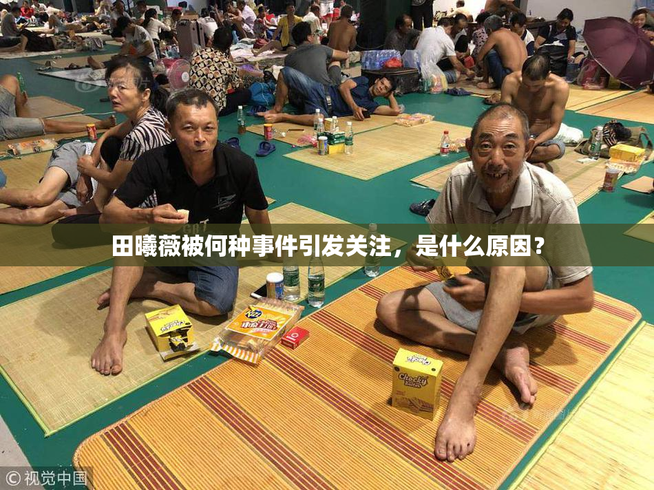 田曦薇被何种事件引发关注，是什么原因？