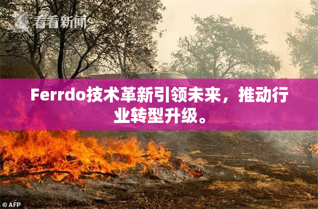 Ferrdo技术革新引领未来，推动行业转型升级。