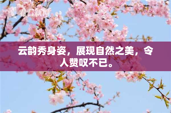 云韵秀身姿，展现自然之美，令人赞叹不已。