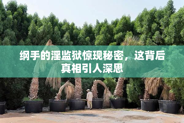 纲手的淫监狱惊现秘密，这背后真相引人深思