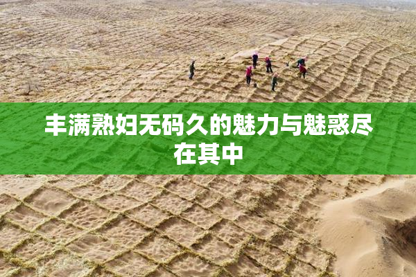 丰满熟妇无码久的魅力与魅惑尽在其中