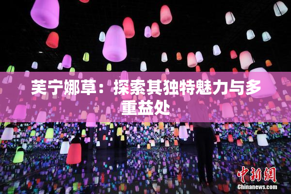 芙宁娜草：探索其独特魅力与多重益处